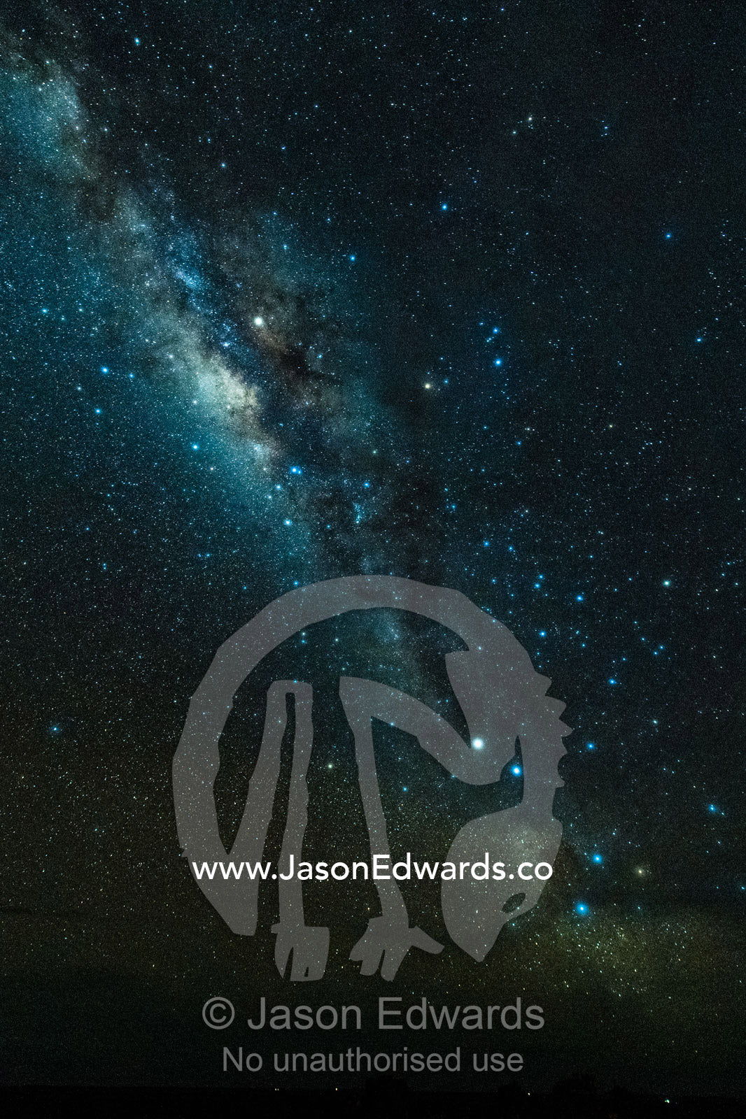 The Milky Way Galaxy and stars in the night sky above the savannah. Serengeti National Park, Tanzania