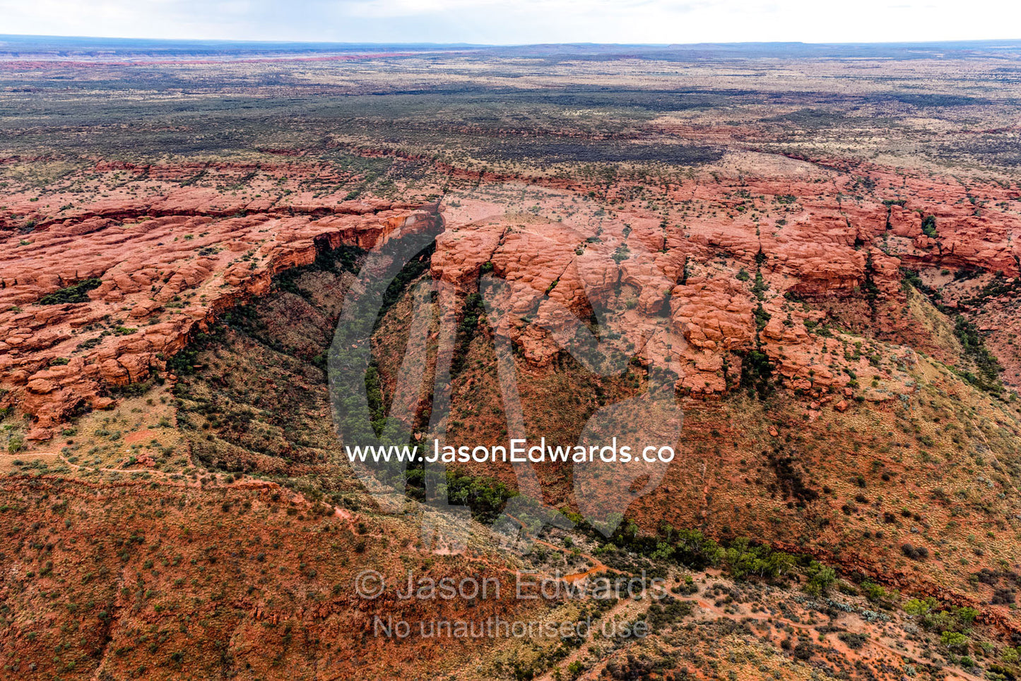 An aerial view of a sandstone desert plateau with a deep gorge filled with forest. Watarrka National Park, Northern Territory, Australia