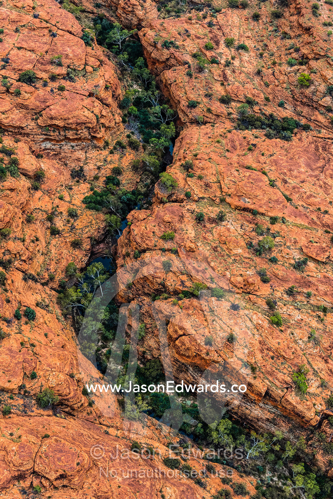 An aerial view of gorges with forest and waterholes forming an oasis on a desert plateau. Watarrka National Park, Northern Territory, Australia