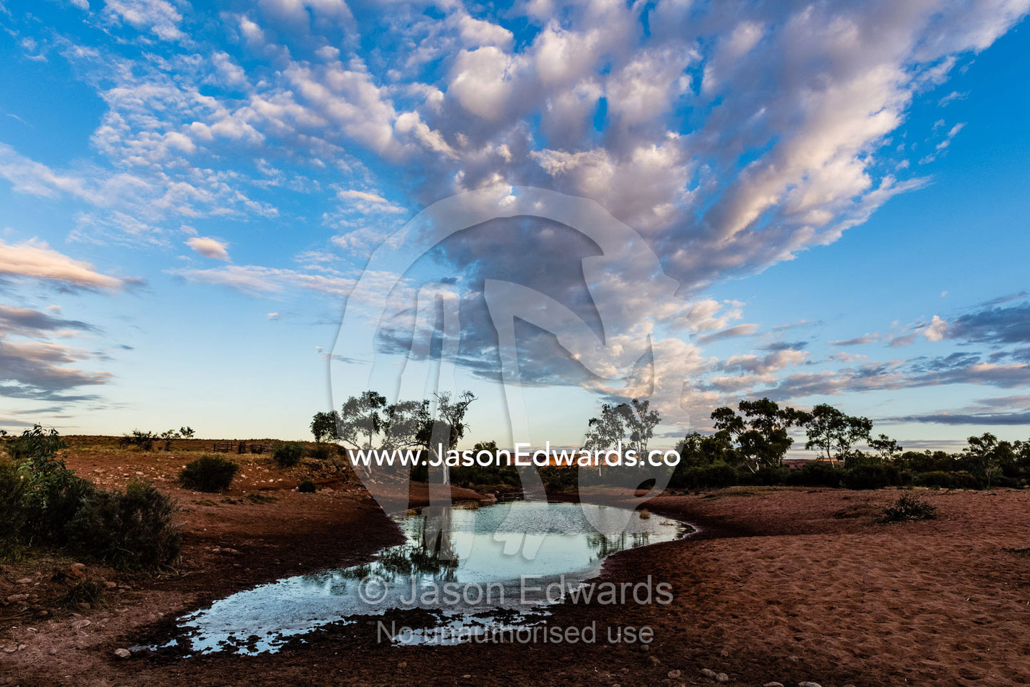 A dwindling waterhole evaporating in the desert. Namatjira, Ipolera Out Station, Northern Territory, Australia