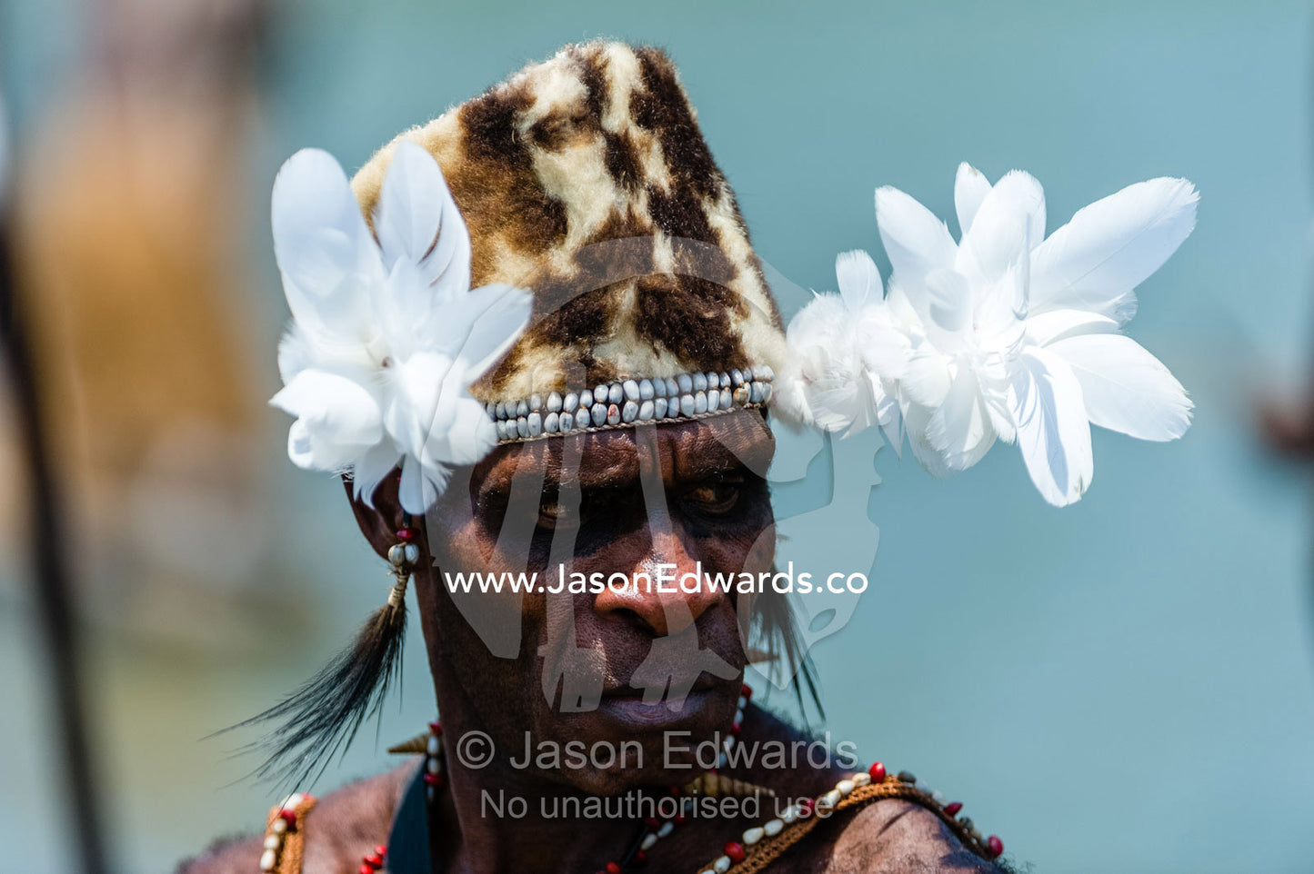 An Asmat warrior wearing a hat made of feathers, shells and Spotted Cuscus fur. Syuru Village, Asmat Regency, Papua, Indonesia
