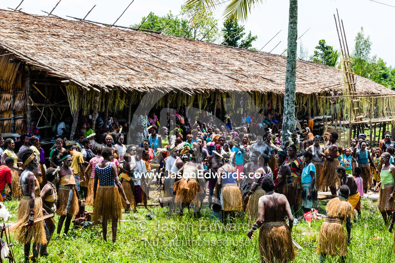 Asmat women dance in a frenzy during a Bis pole raising ceremony in a village. Syuru Village, Asmat Regency, Papua, Indonesia