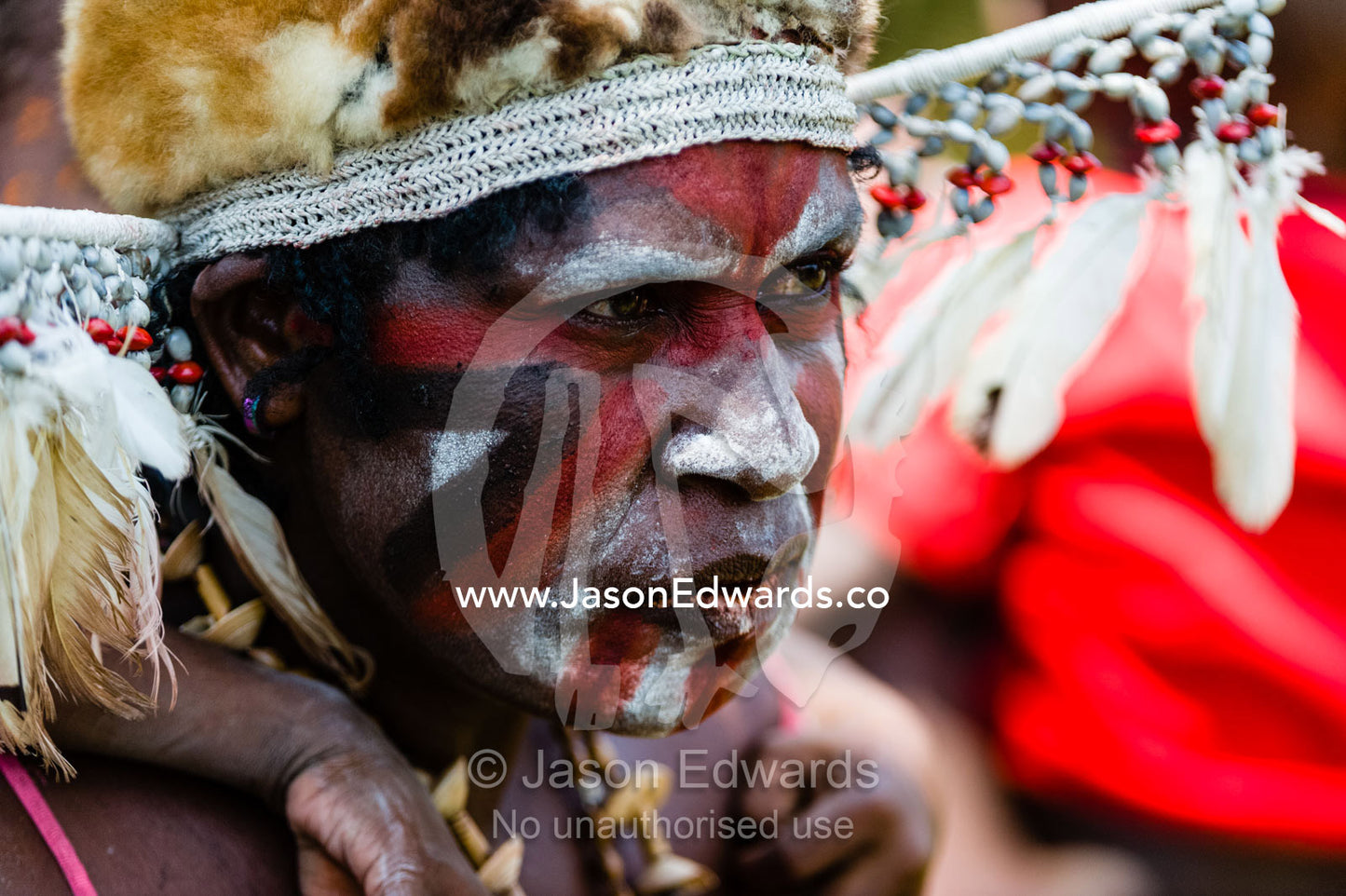 An Asmat woman wearing a hat made of feathers, shells and Spotted Cuscus fur. Syuru Village, Asmat Regency, Papua, Indonesia