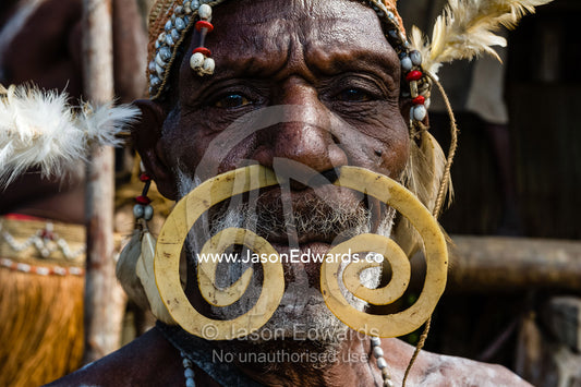 An Asmat warrior elder wearing a nose ring made of shell at a tribal ceremony. Yahunyufri Village, Asmat Regency, Papua, Indonesia