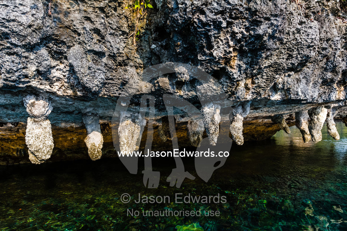 Calcium and mineral deposits hanging from a limestone cliff. Raja Ampat, The Passage, Alyui Bay, West Papua, Indonesia