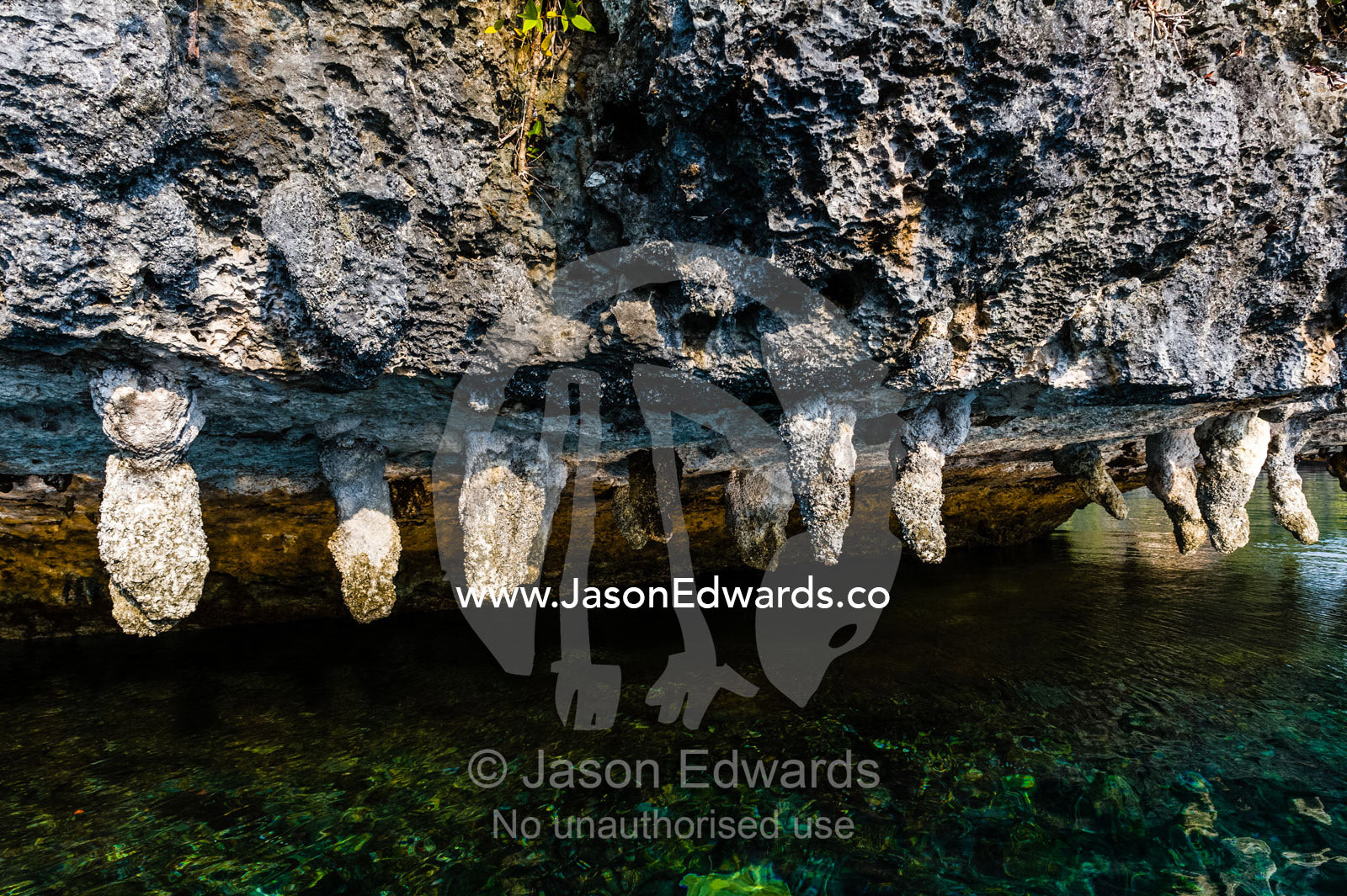 Calcium and mineral deposits hanging from a limestone cliff. Raja Ampat, The Passage, Alyui Bay, West Papua, Indonesia