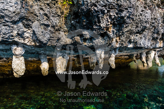Calcium and mineral deposits hanging from a limestone cliff. Raja Ampat, The Passage, Alyui Bay, West Papua, Indonesia