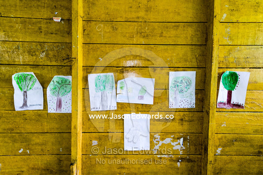 Students pin illustrations of rainforest trees to the wall of their classroom in an Amazon school. Boca Pariamanu Native Community, Madre de Dios Region, Peru
