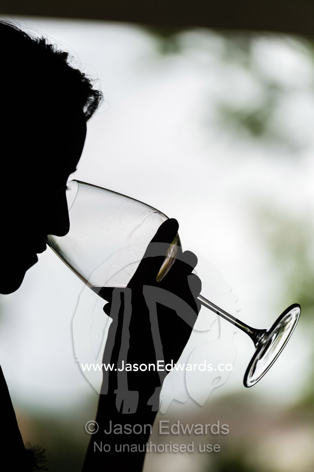 The silhouette of a woman sampling the aroma of a glass of wine at a wine tasting. Rosslyn Park, Adelaide, South Australia, Australia