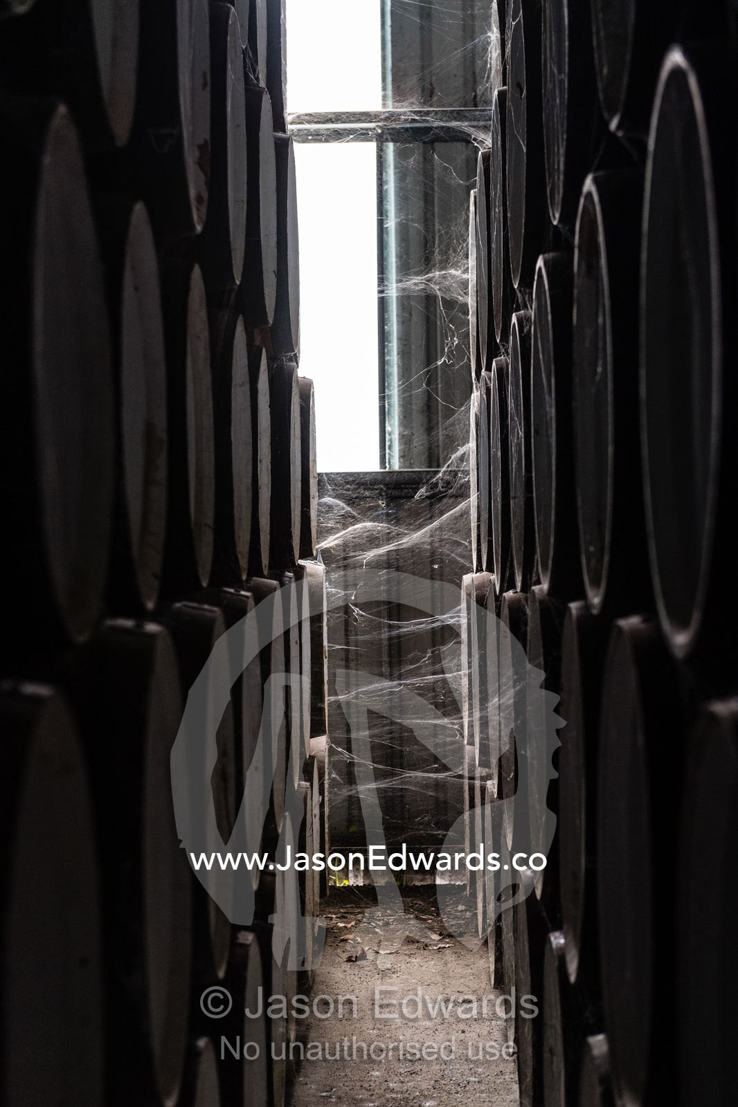 Spider webs connected to a wine barrels stored in a shed to mature. Nuriootpa, South Australia, Australia