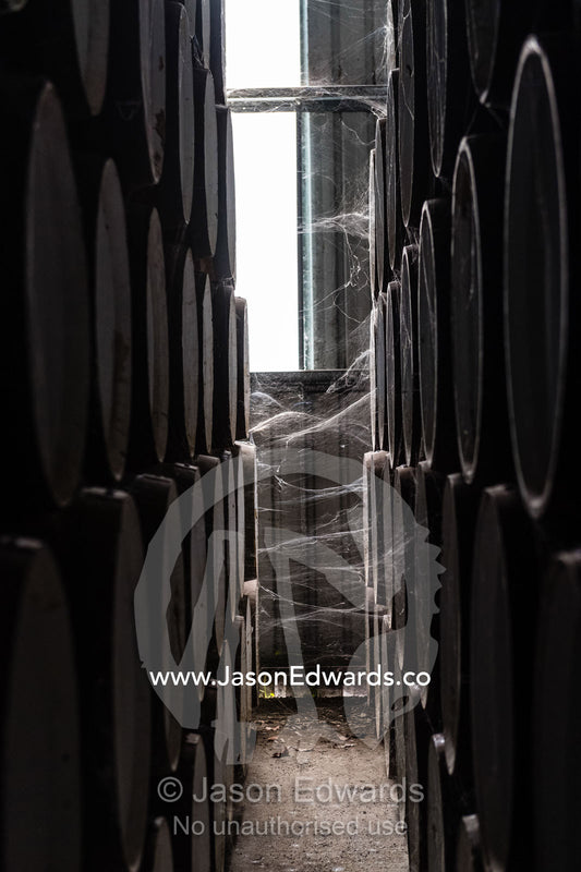 Spider webs connected to a wine barrels stored in a shed to mature. Nuriootpa, South Australia, Australia