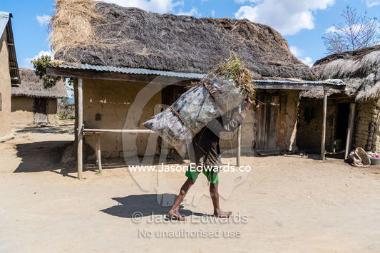 A man carrying a load of reeds harvested from a field on his head to sell in a market. Antananarivo, Madagascar