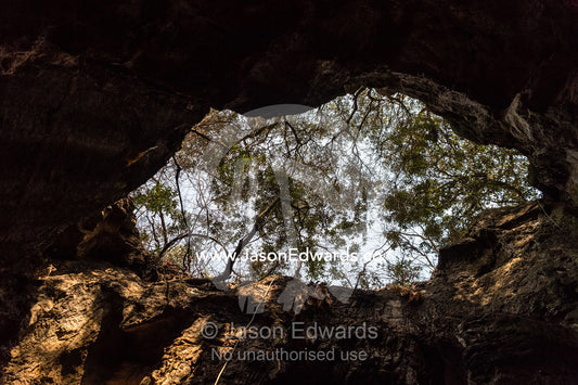 The opening to the Rising Star cave where the remains of Homo naledi were discovered. Johannesburg, South Africa
