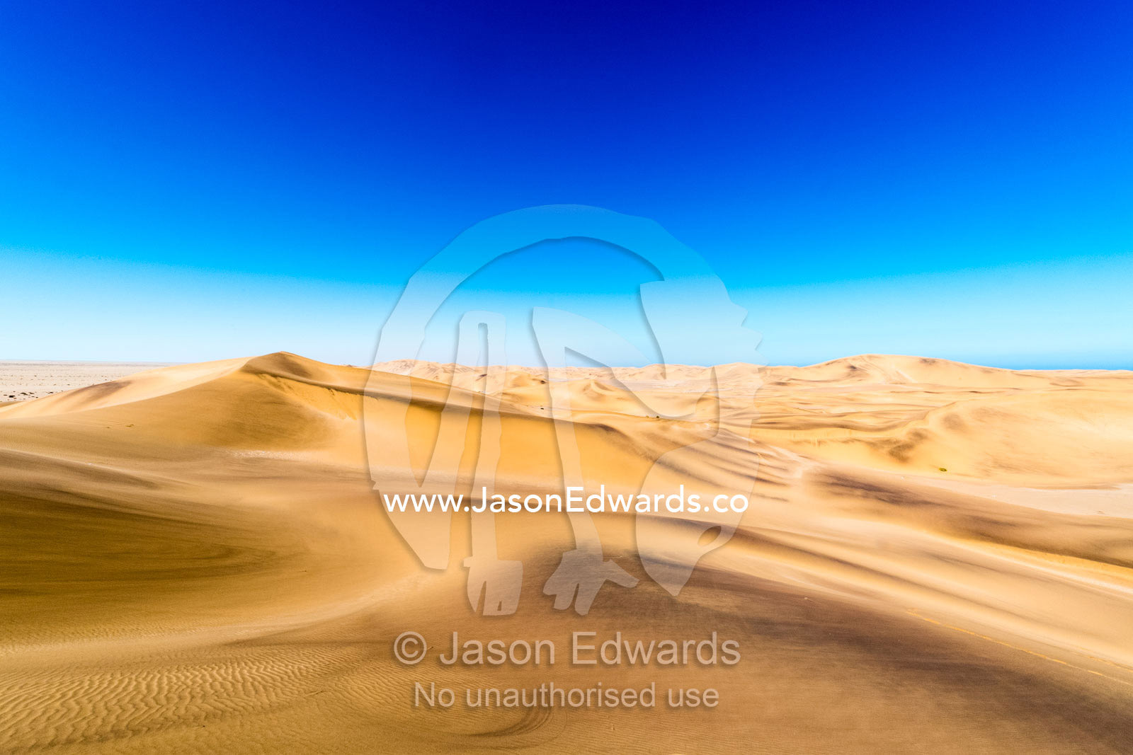 A vast ochre sand dune field stretches to the distance beneath a clear blue sky. Namib Desert, Diamond Coast, Skeleton Coast, Namib-Naukluft National Park, Namibia