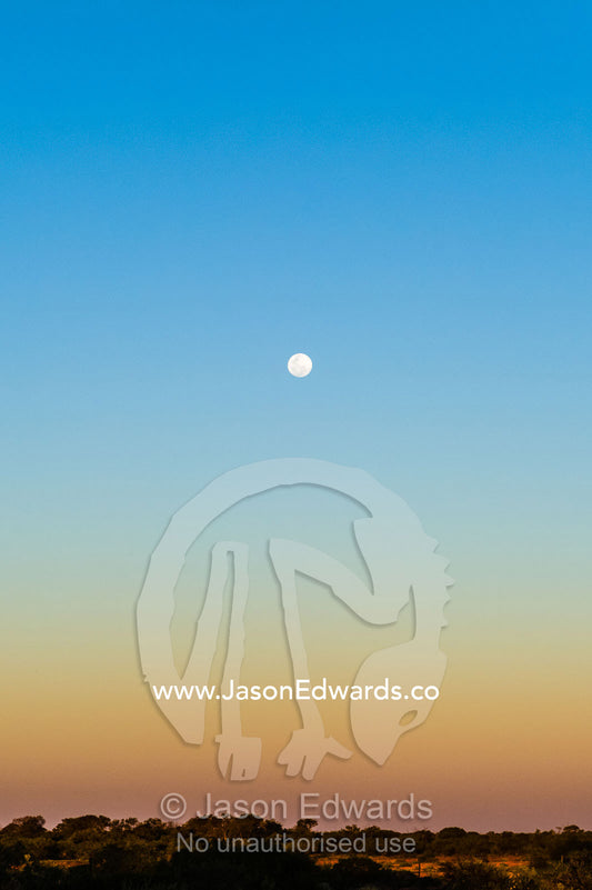 Moonrise over the a vast desert plain in the outback. Coober Pedy, South Australia, Australia