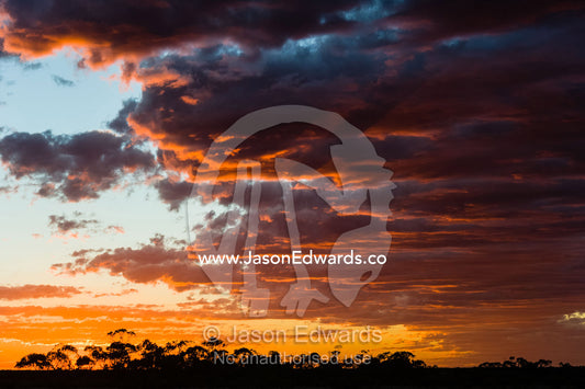Sunset illuminates storm clouds forming over the outback desert plain. Coober Pedy, Mt Willoughby Station, South Australia, Australia