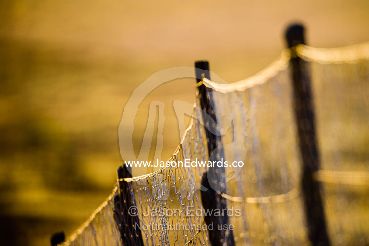 The Dingo Fence or Dog Fence is a pest-exclusion fence built to keep dingo away from sheep farming. Coober Pedy, Dingo Fence, Dog Fence, South Australia, Australia