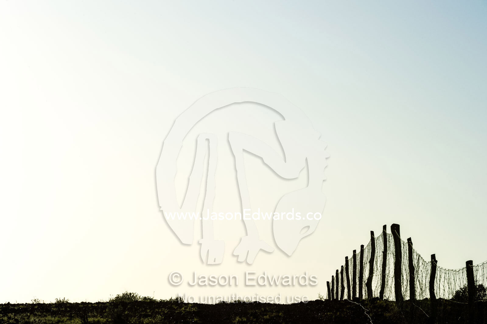 The Dingo Fence or Dog Fence is a pest-exclusion fence built to keep dingo away from sheep farming. Coober Pedy, Dingo Fence, Dog Fence, South Australia, Australia