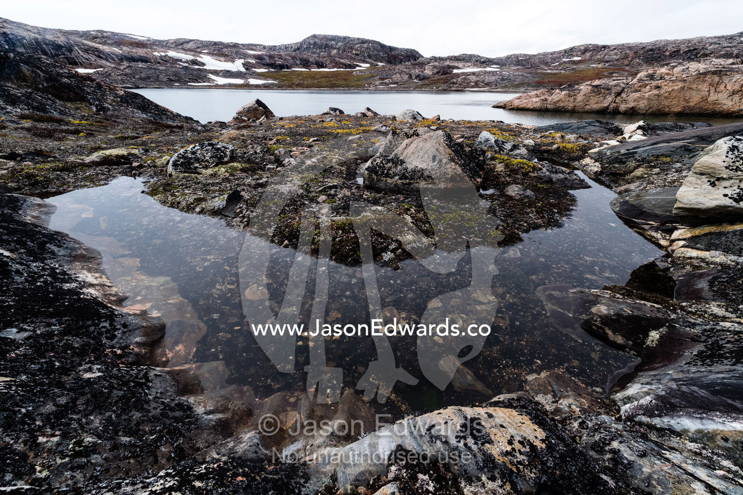 Rainwater and snow-melt gathered in a rocky granite and gneiss pool on a rugged arctic island. Denmark Island, Hekla Havn, Scoresby Sound, Greenland