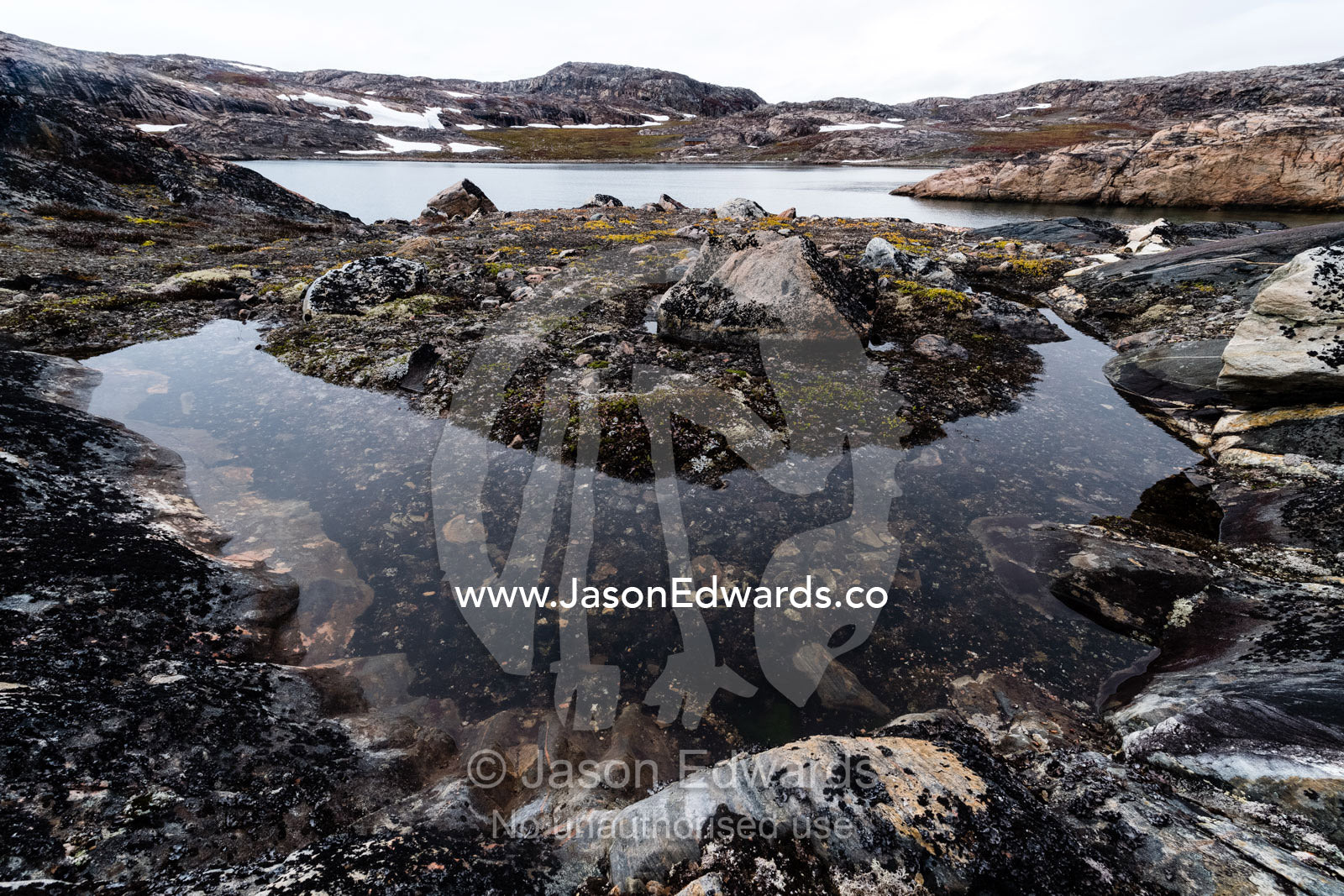 Rainwater and snow-melt gathered in a rocky granite and gneiss pool on a rugged arctic island. Denmark Island, Hekla Havn, Scoresby Sound, Greenland