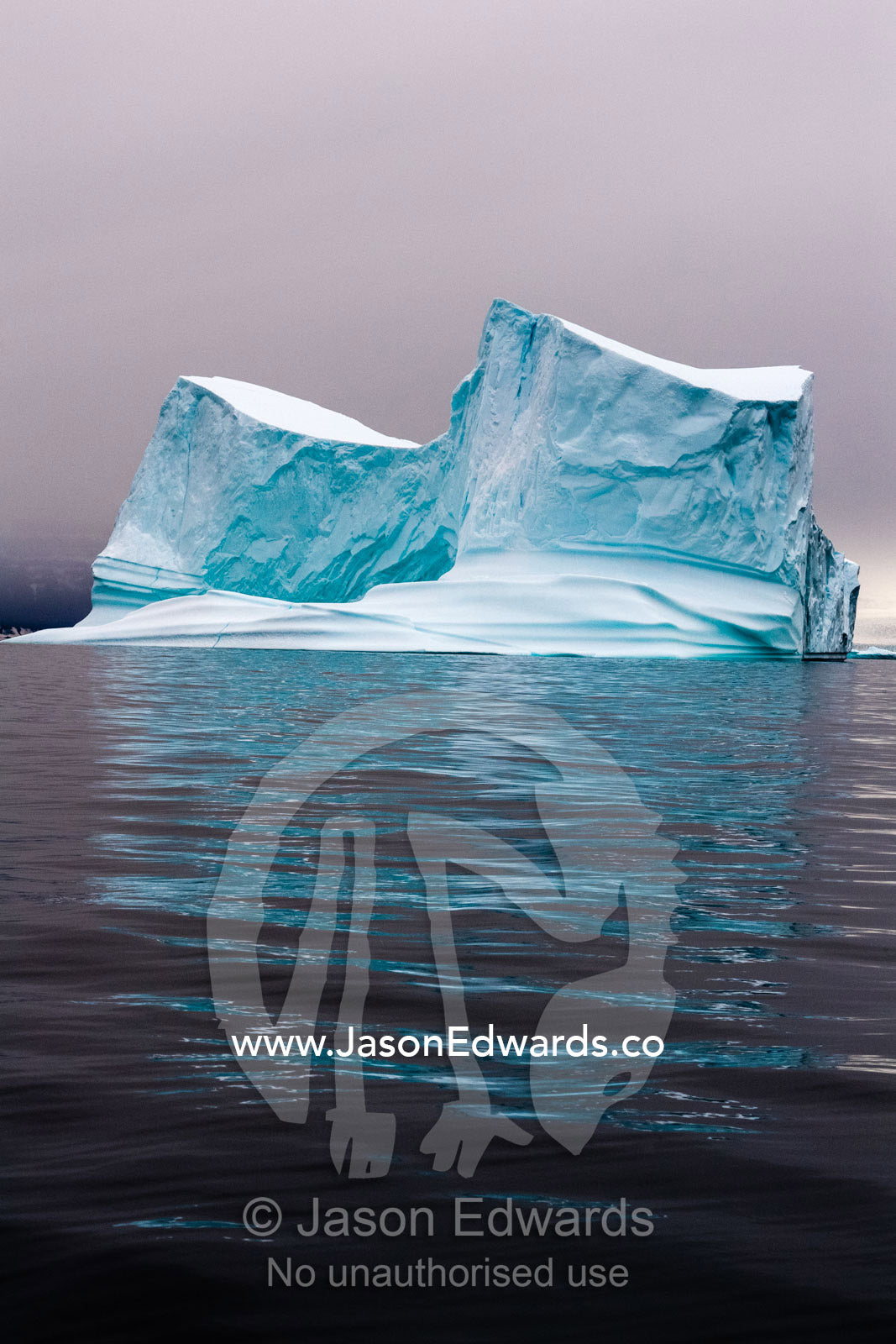 An iceberg reflecting rich blue light in the calm waters of an arctic fjord. Denmark Island, Gasepynten, Scoresby Sound, Greenland
