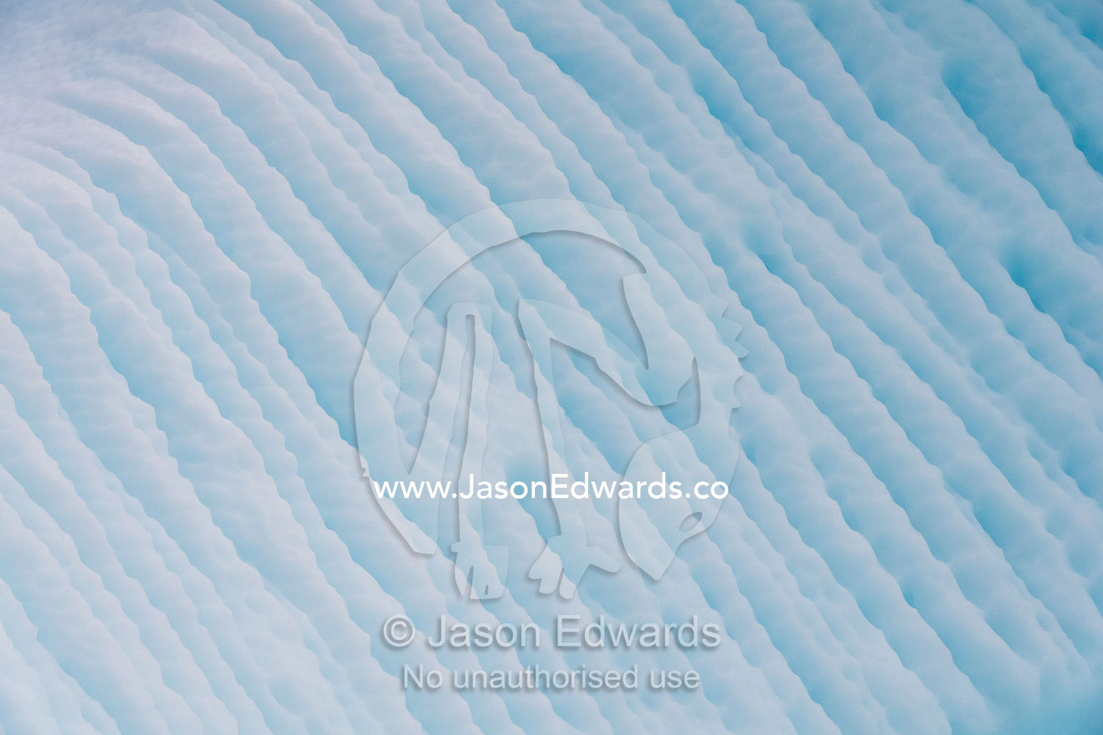 Erosion and pressure ridges carved into the ice on the surface of an iceberg. Denmark Island, Gasepynten, Scoresby Sound, Greenland