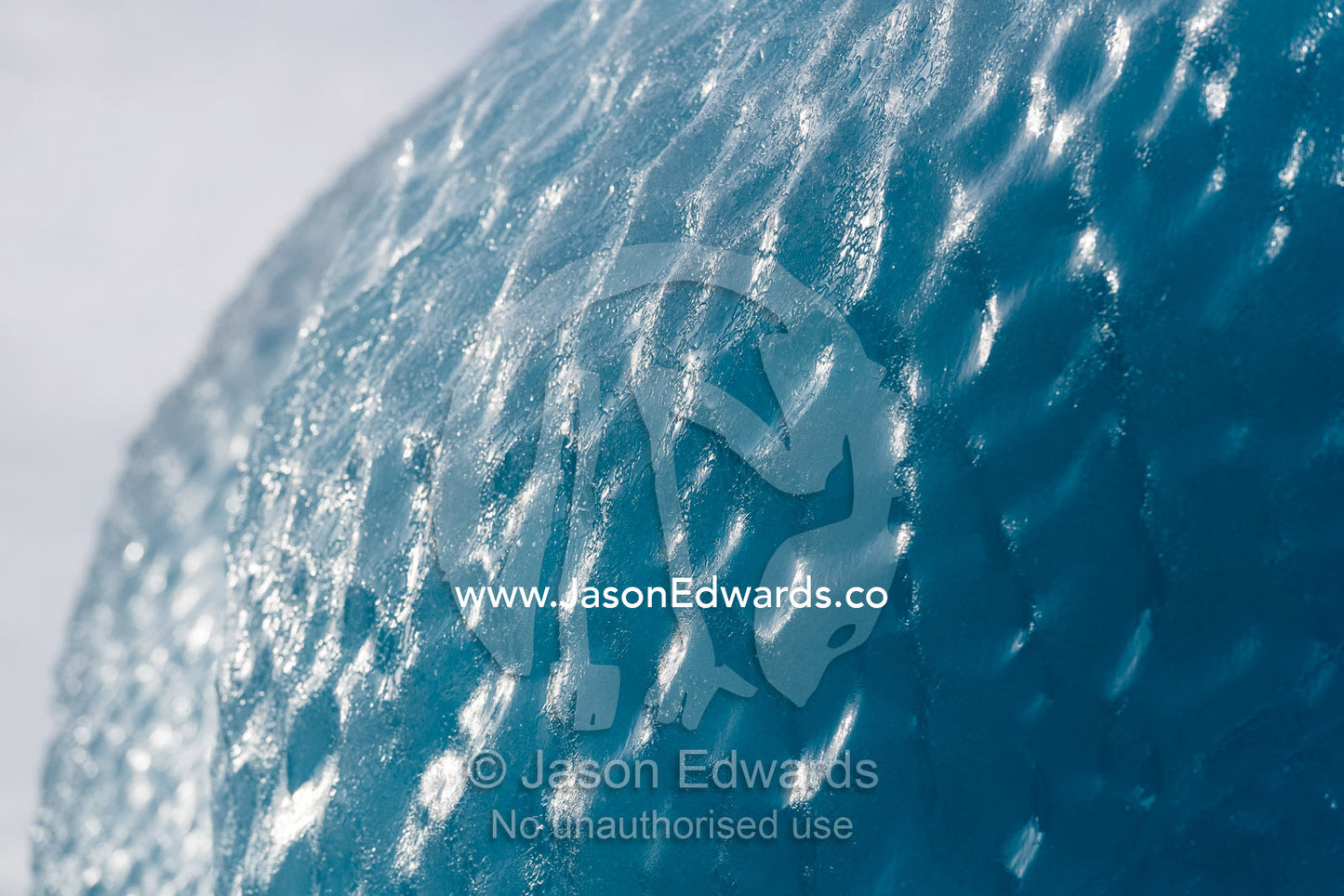 Sun scalloping and erosion causes dimples on the surface of an iceberg. Vikingbukt, Viking Bay, Brede Glacier, Scoresby Sound, Greenland