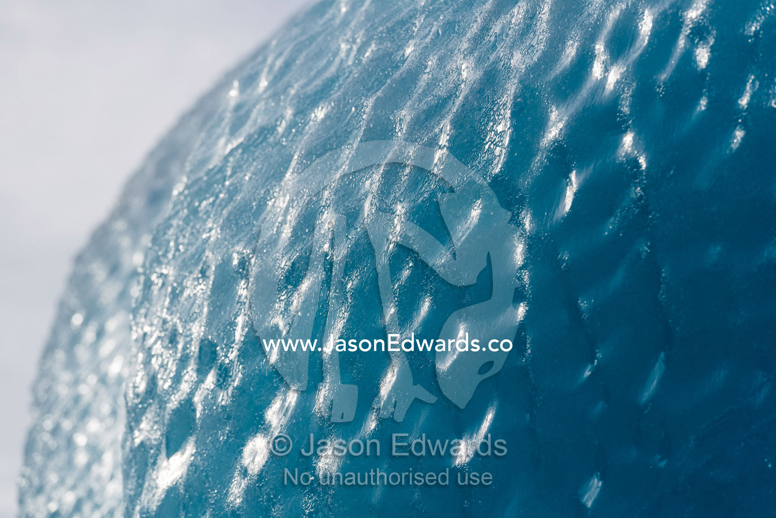 Sun scalloping and erosion causes dimples on the surface of an iceberg. Vikingbukt, Viking Bay, Brede Glacier, Scoresby Sound, Greenland