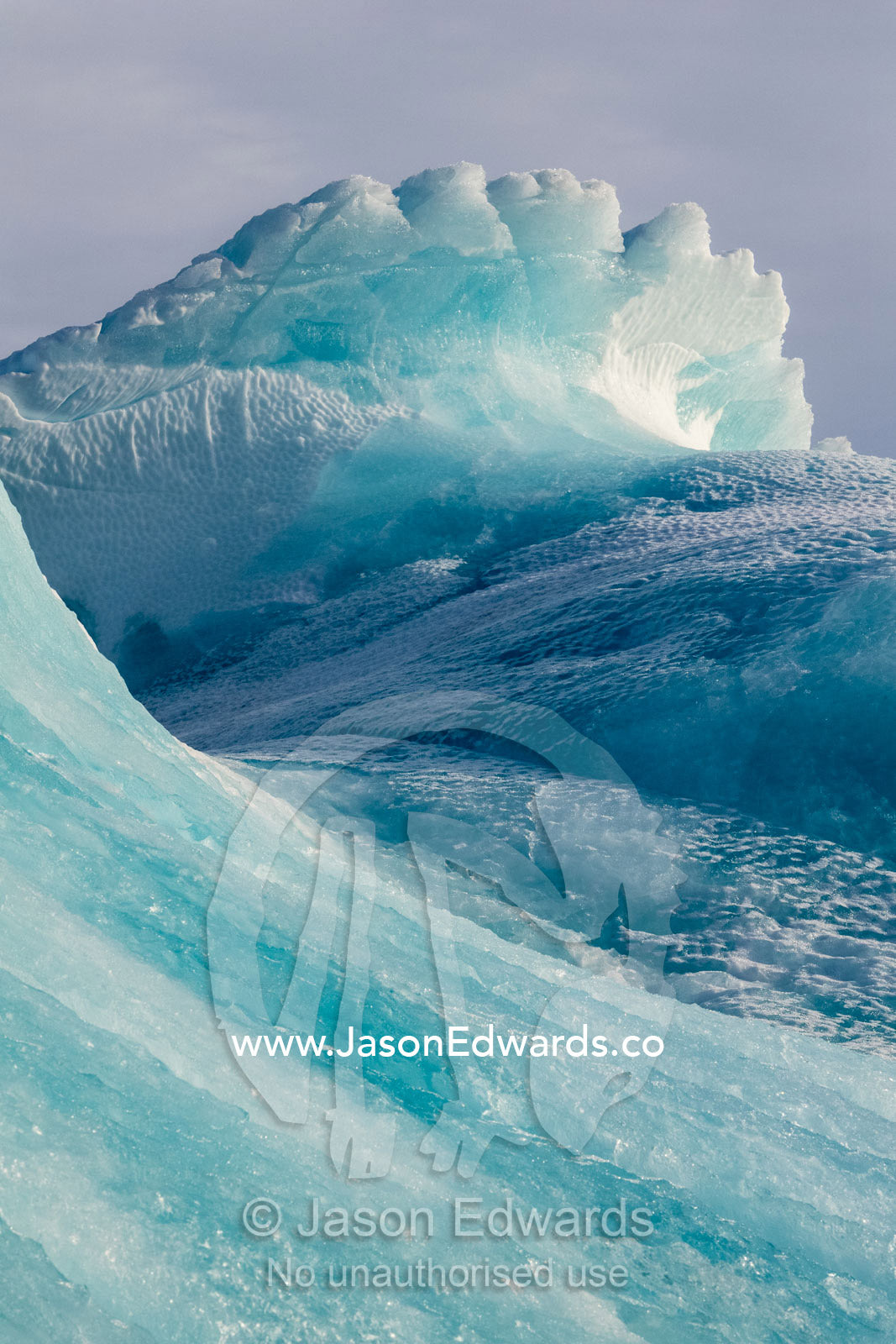 A sweeping wave of ice crests on the summit of a blue iceberg. Vikingbukt, Viking Bay, Brede Glacier, Scoresby Sound, Greenland