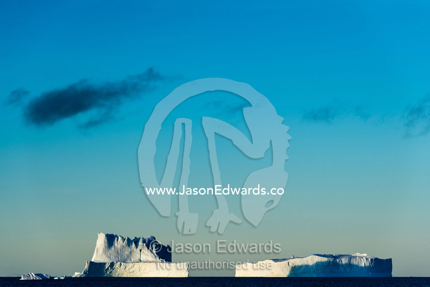 Late afternoon light falls across the surface of flat tabular icebergs floating in the arctic. Milne Land, Hall Bredning Fjord, Scoresby Sound, Greenland