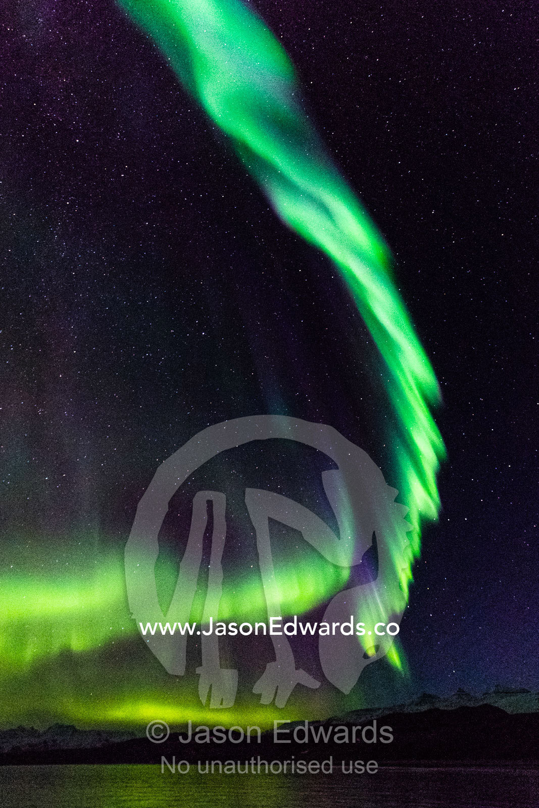 Iridescent green northern lights flow across an arctic sky at night. Milne Land, Hall Bredning Fjord, Scoresby Sound, Greenland