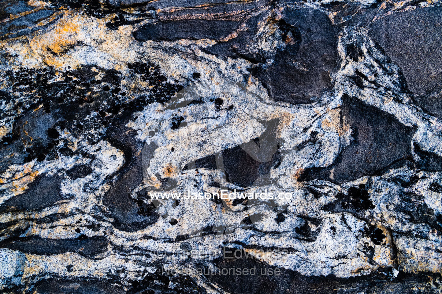 Swirls and waves of pattern in the textured surface of an arctic boulder spotted with lichens. Milne Land, Jytte Havn, Bjorne Islands, Scoresby Sound, Greenland