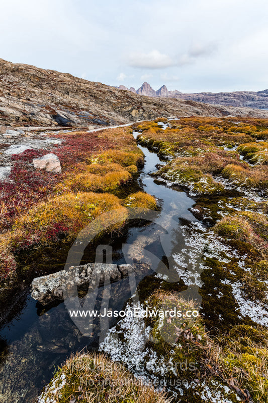 A small freshwater stream meandering across a plateau on an arctic island. Milne Land, Jytte Havn, Bjorne Islands, Scoresby Sound, Greenland