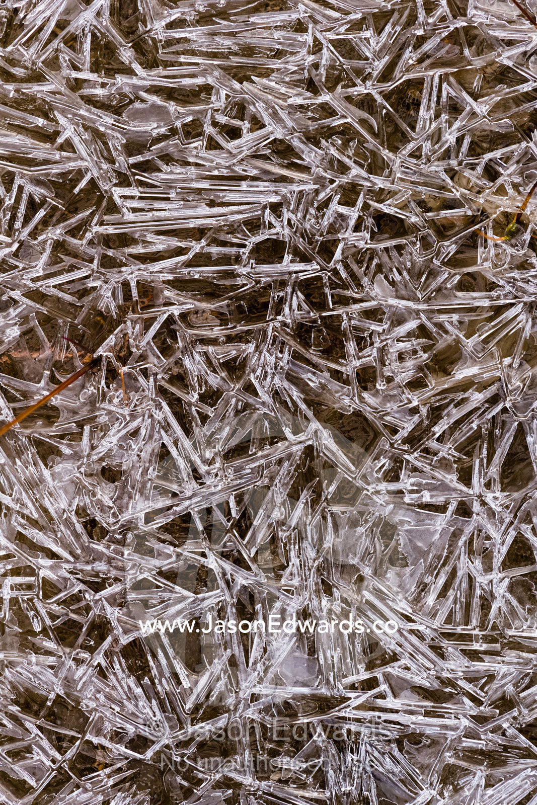 A mosaic of frozen ice crystals create geometric patterns on the surface of a freshwater stream in the arctic tundra. Renland, Milne Land, ) Fjord, Island Fjord, Rype Fjor, Scoresby Sound, Greenland