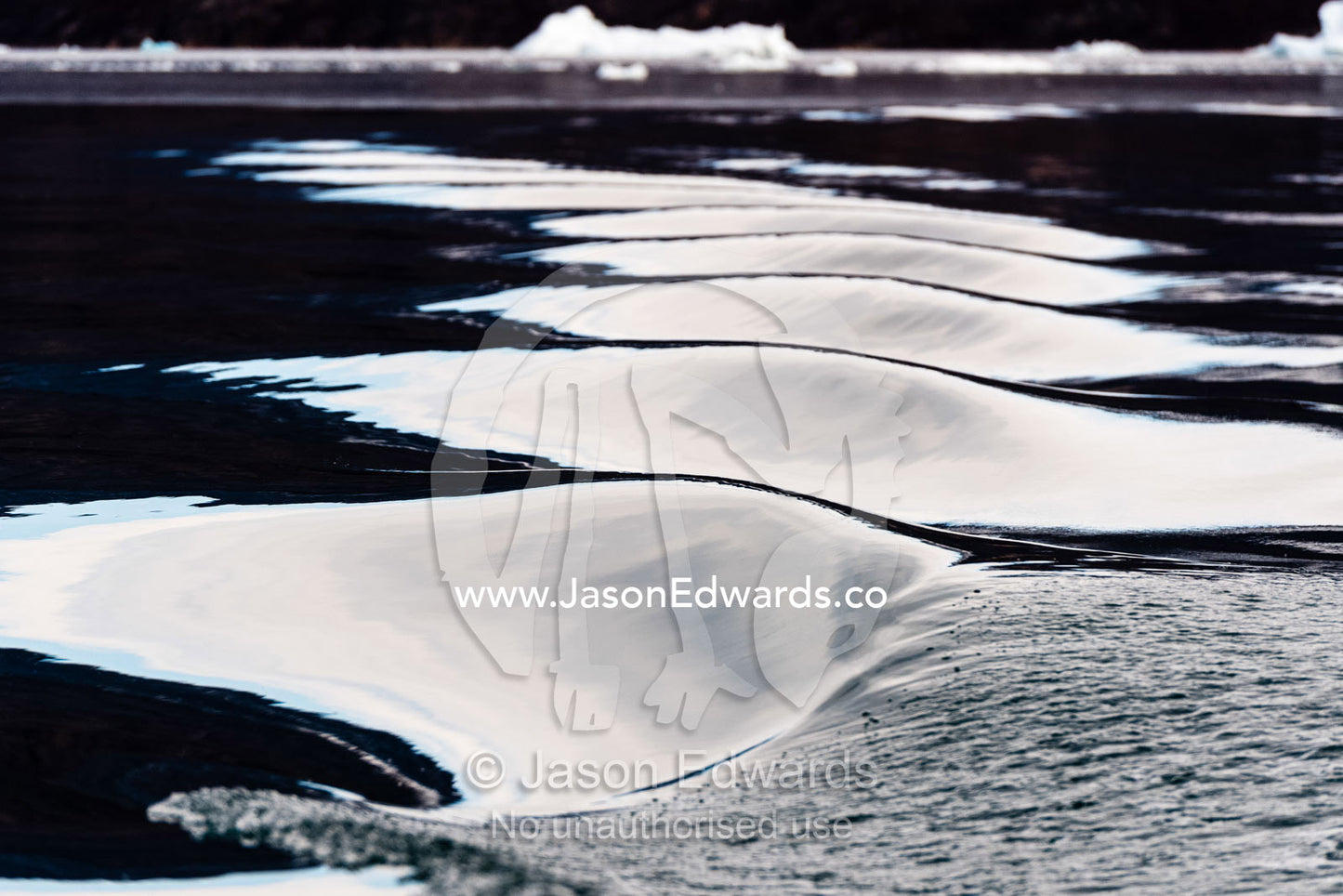 Silver light reflecting off the crests of waves in the wake of a boat. Renland, Milne Land, Harefjord, Hare Fjord, Rype Fjor, Scoresby Sound, Greenland