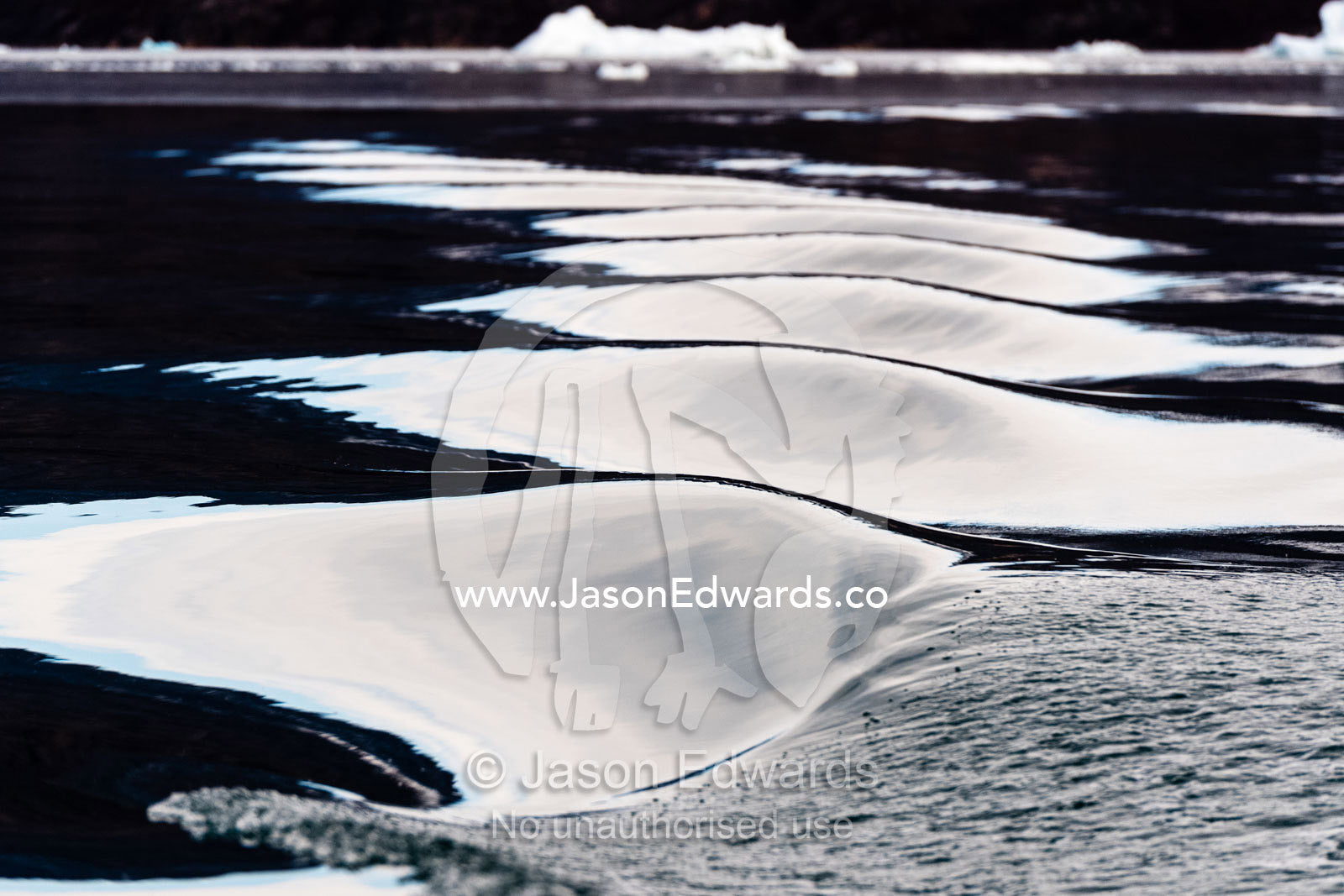 Silver light reflecting off the crests of waves in the wake of a boat. Renland, Milne Land, Harefjord, Hare Fjord, Rype Fjor, Scoresby Sound, Greenland