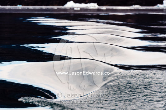 Silver light reflecting off the crests of waves in the wake of a boat. Renland, Milne Land, Harefjord, Hare Fjord, Rype Fjor, Scoresby Sound, Greenland