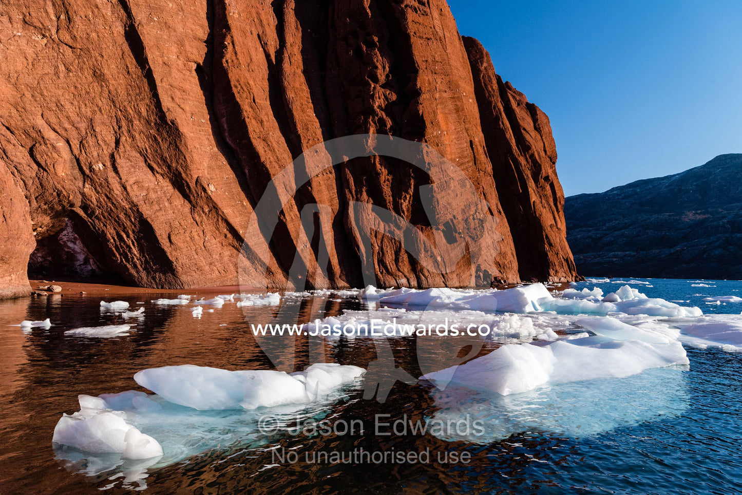 Icebergs gather along the shoreline of red conglomerate cliffs in an arctic fjord. Milne Land, Rode Island, Red Island, Rode Fj, Scoresby Sound, Greenland