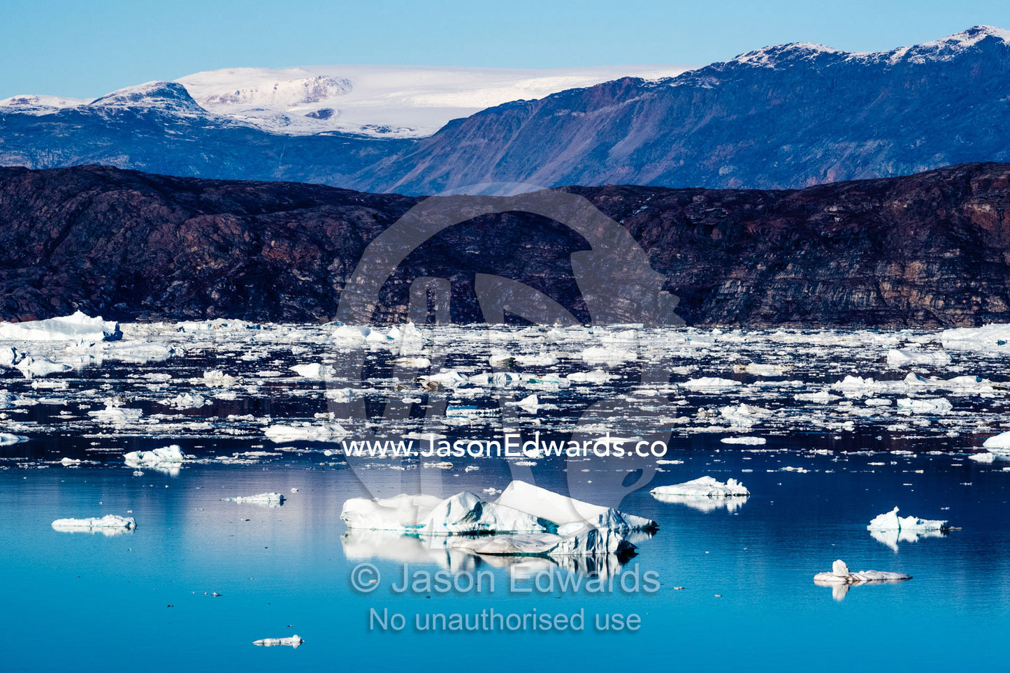 In the dark, still waters of a fjord giant blocks of ice gather in an Iceberg Graveyard. Milne Land, Rode Island, Red Island, Rode Fj, Scoresby Sound, Greenland