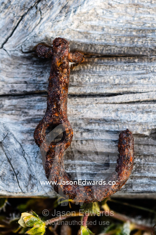 An antique rusting hook hanging on the weathered timber of a seal hunters hut. Denmark Island, Hekla Havn, Scoresby Sound, Greenland