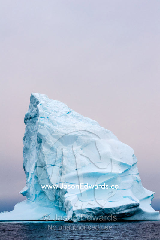 Soft pastel light falls across the fractured surface of an iceberg drifting in an arctic fjord. Denmark Island, Gasepynten, Scoresby Sound, Greenland