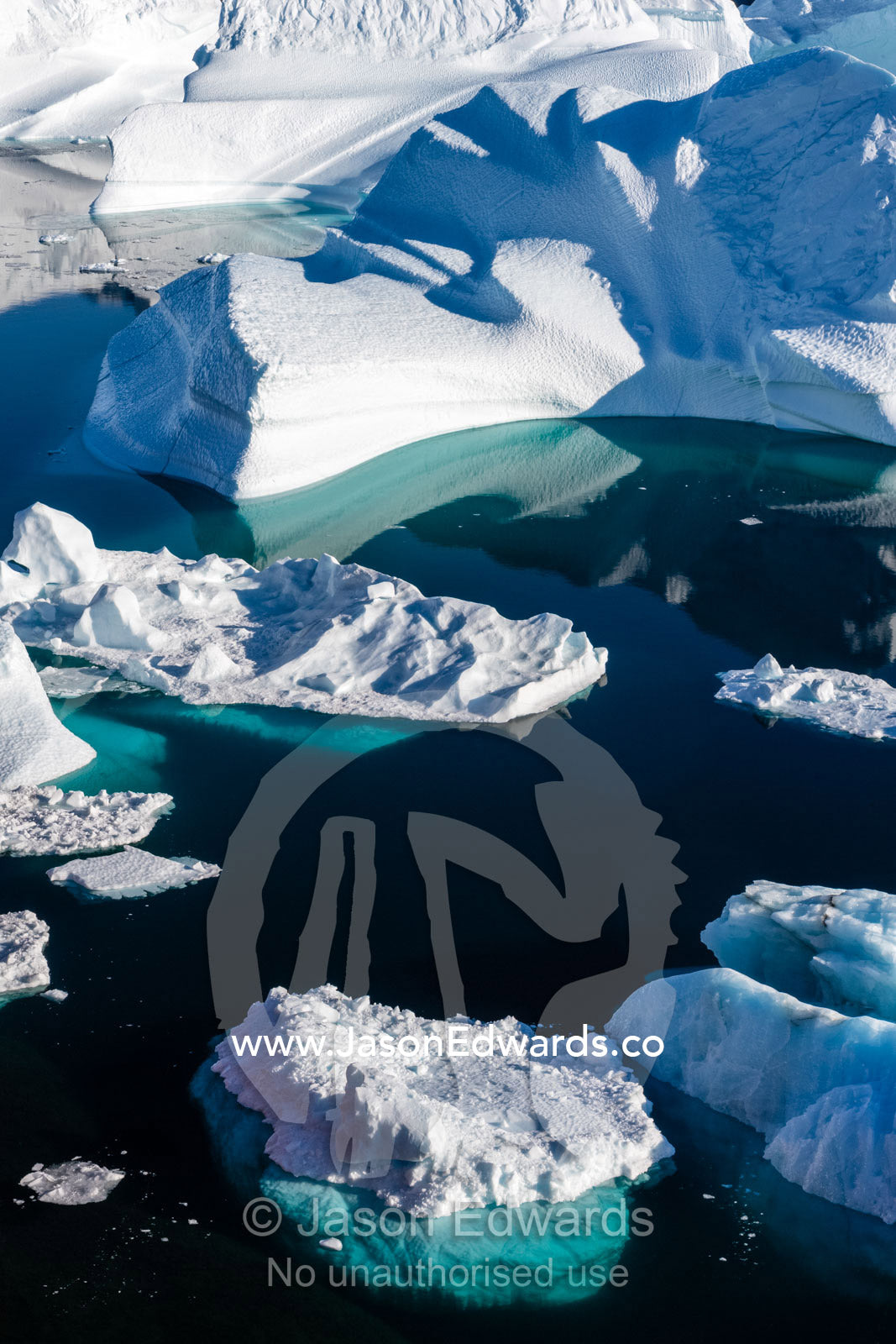 In the dark, still waters of a fjord giant blocks of ice gather in an Iceberg Graveyard. Milne Land, Rode Island, Red Island, Rode Fj, Scoresby Sound, Greenland