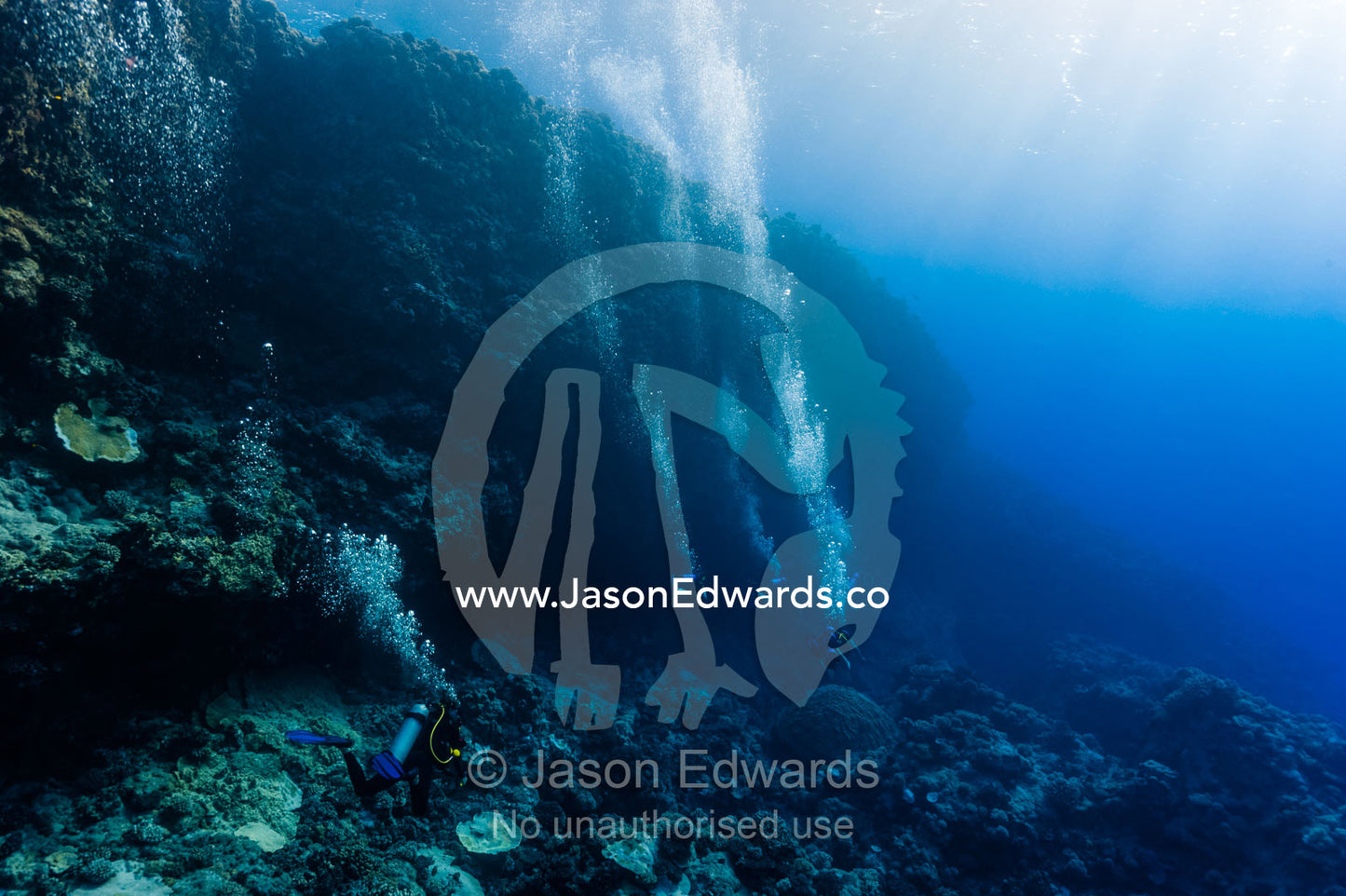 Bubbles rise from the tanks of scuba divers dwarfed by a canyon wall. Makatea Atoll, Tuamotu Archipelago, French Polynesia