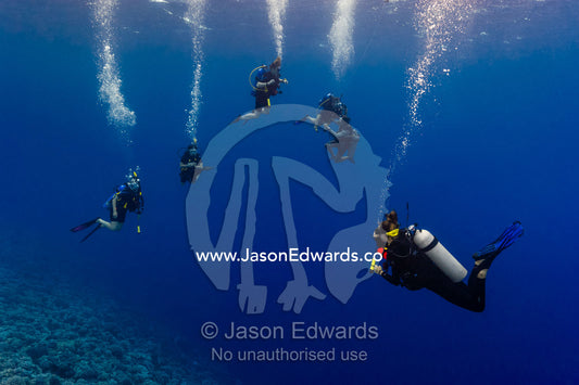 A scuba diving instructor monitors the divers whilst doing a decompression stop. Makatea Atoll, Tuamotu Archipelago, French Polynesia