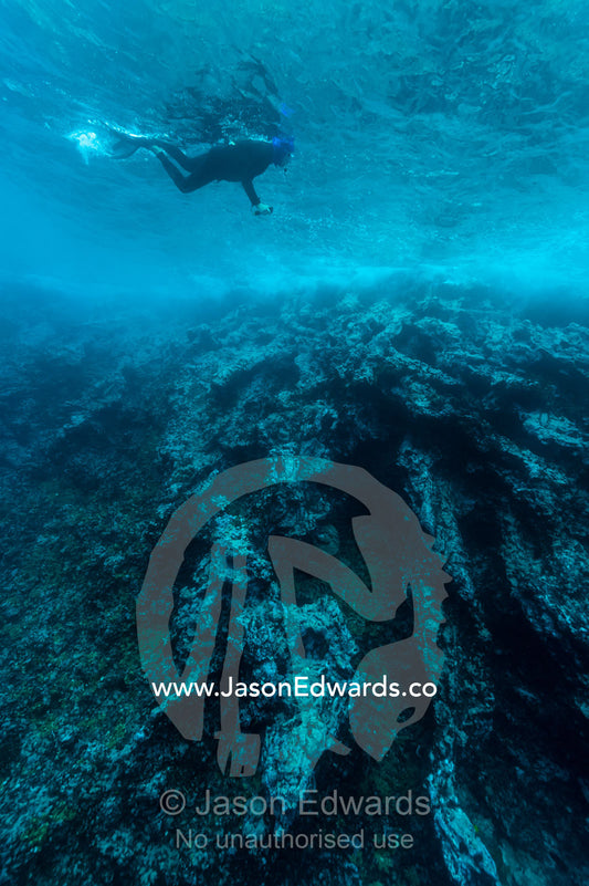 A man snorkeling above a volcanic canyon wall. Fatu Hiva, Marquesas Islands, French Polynesia