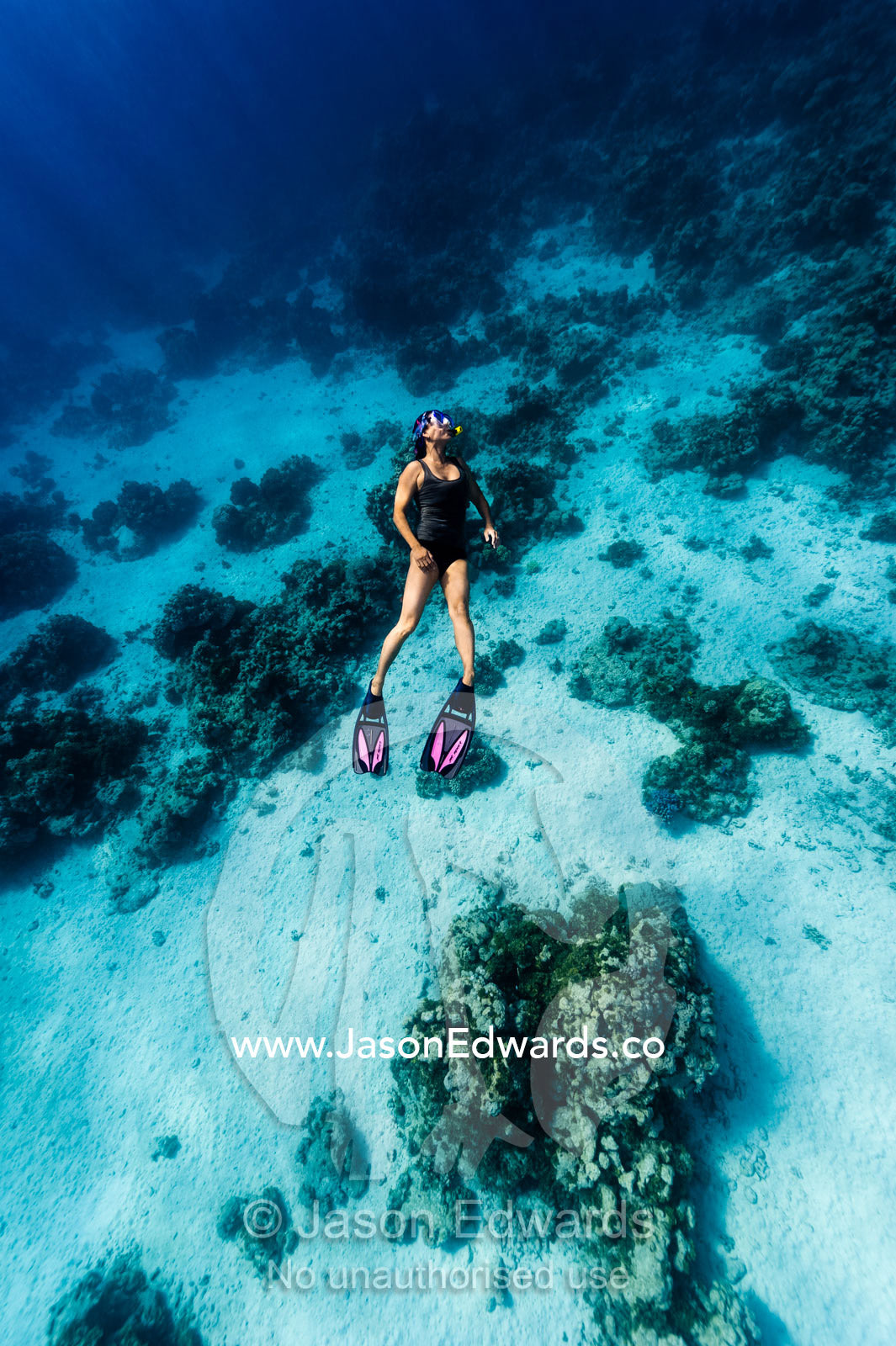A freediver in fins and snorkel dives into the depths above a coral reef. Tahanea Atoll, Tuamotu Archipelago, French Polynesia