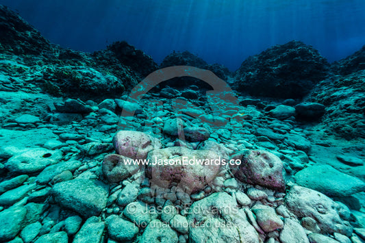 Sun rays illuminate volcanic boulders on the ocean floor. Niau Atoll, Tuamotu Archipelago, French Polynesia
