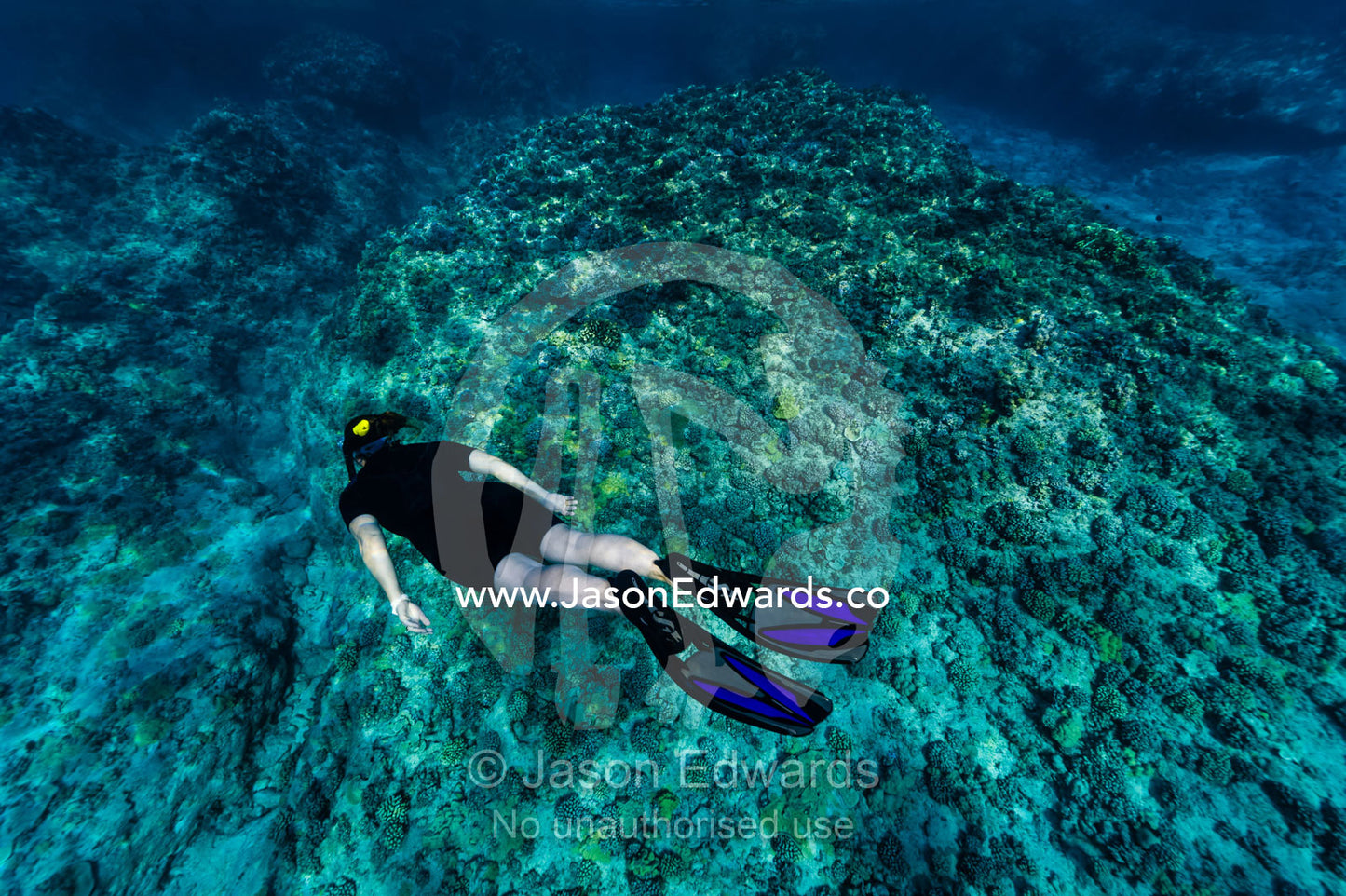 A woman snorkels and glides over a coral reef in clear tropical seas. Niau Atoll, Tuamotu Archipelago, French Polynesia