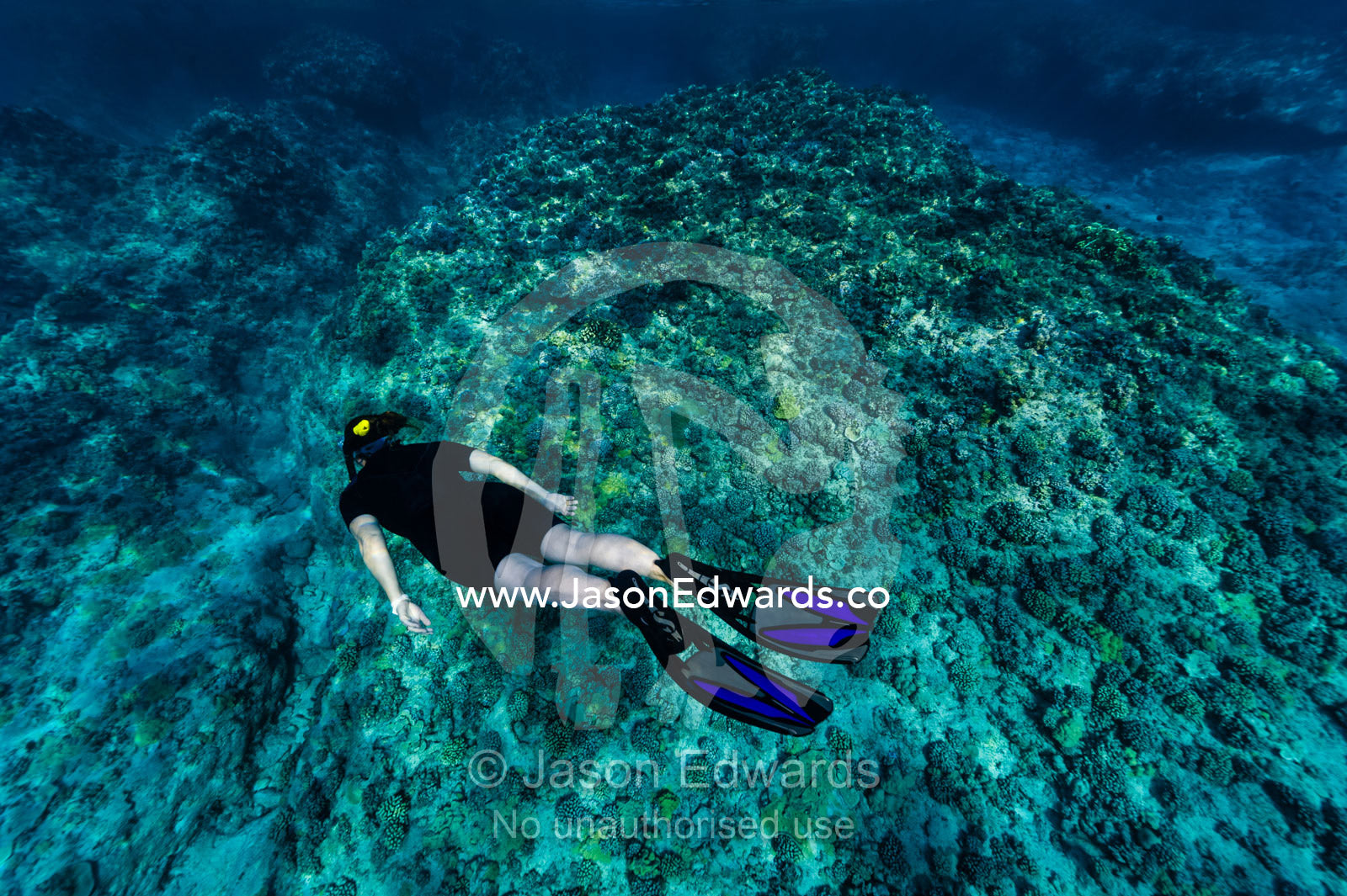 A woman snorkels and glides over a coral reef in clear tropical seas. Niau Atoll, Tuamotu Archipelago, French Polynesia