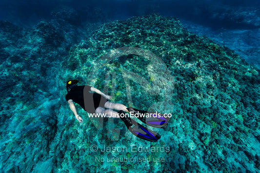 A woman snorkels and glides over a coral reef in clear tropical seas. Niau Atoll, Tuamotu Archipelago, French Polynesia